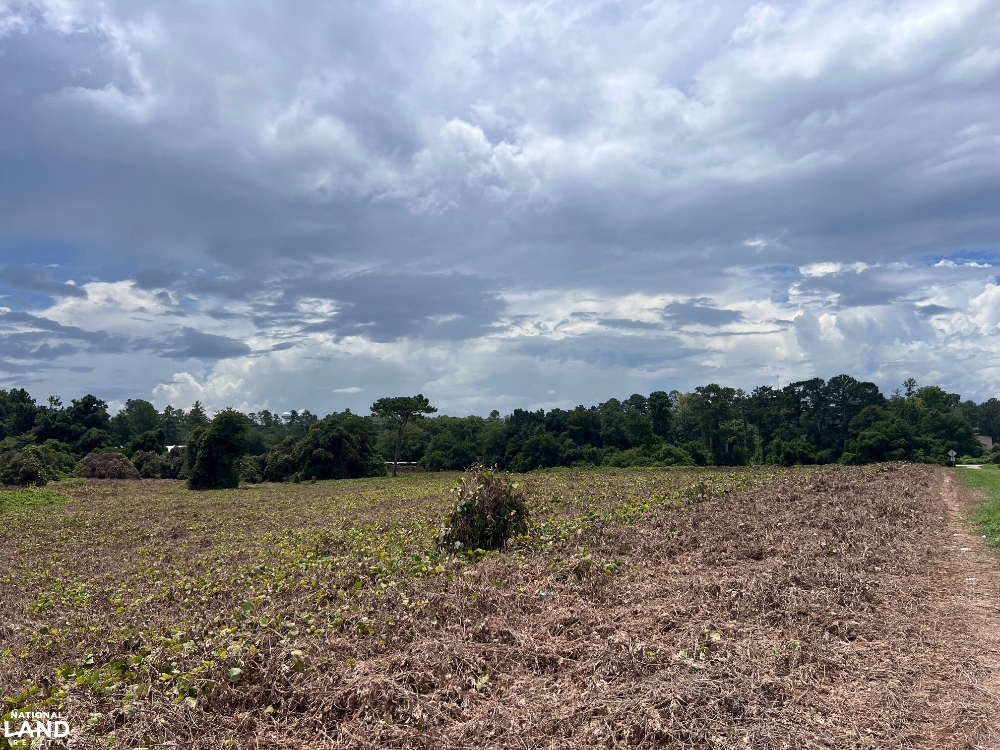 Sunflower Estates LOT 5 in Calhoun County, SC (3 of 7)