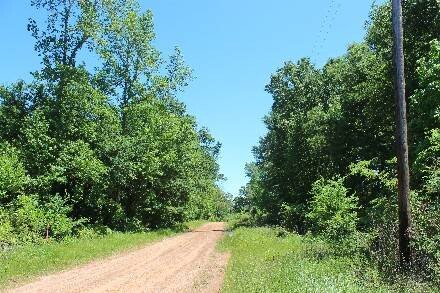 Land for Sale in Cass County, TX (1 of 46)