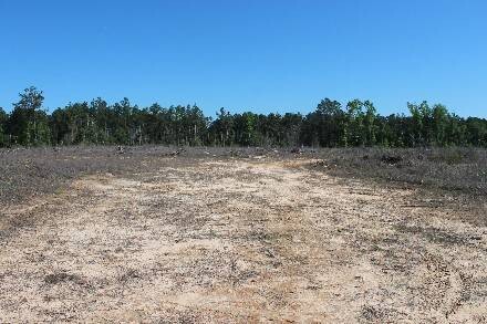 Land for Sale in Cass County, TX (4 of 46)
