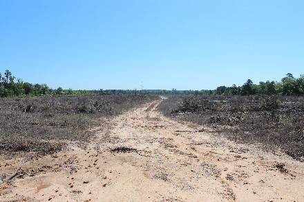 Land for Sale in Cass County, TX (5 of 46)