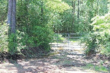 Land for Sale in Cass County, TX (9 of 46)