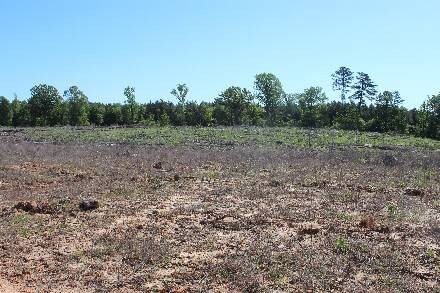 Land for Sale in Cass County, TX (10 of 46)