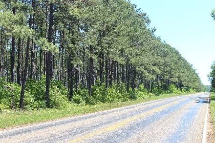 Land for Sale in Cass County, TX (36 of 46)