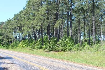 Land for Sale in Cass County, TX (37 of 46)