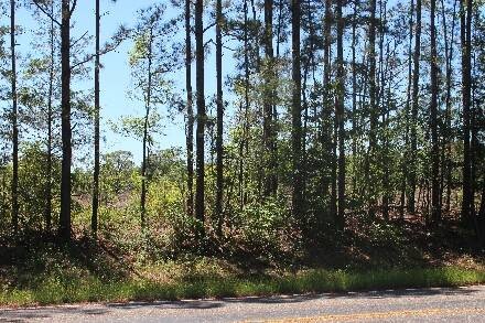 Land for Sale in Cass County, TX (39 of 46)
