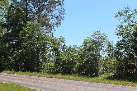 Land for Sale in Cass County, TX (40 of 46)