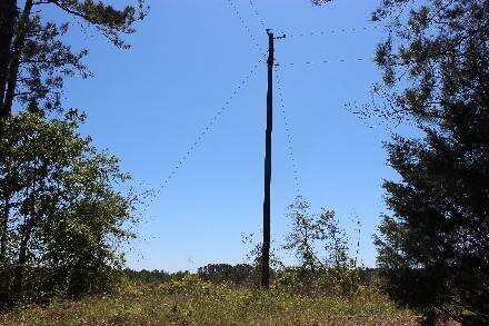 Land for Sale in Cass County, TX (43 of 46)