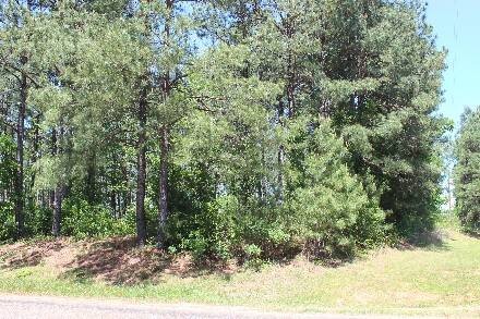 Land for Sale in Cass County, TX (46 of 46)