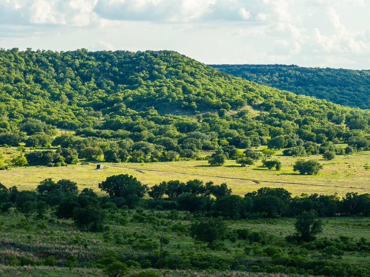 Land for Sale in Callahan County, TX (6 of 94)