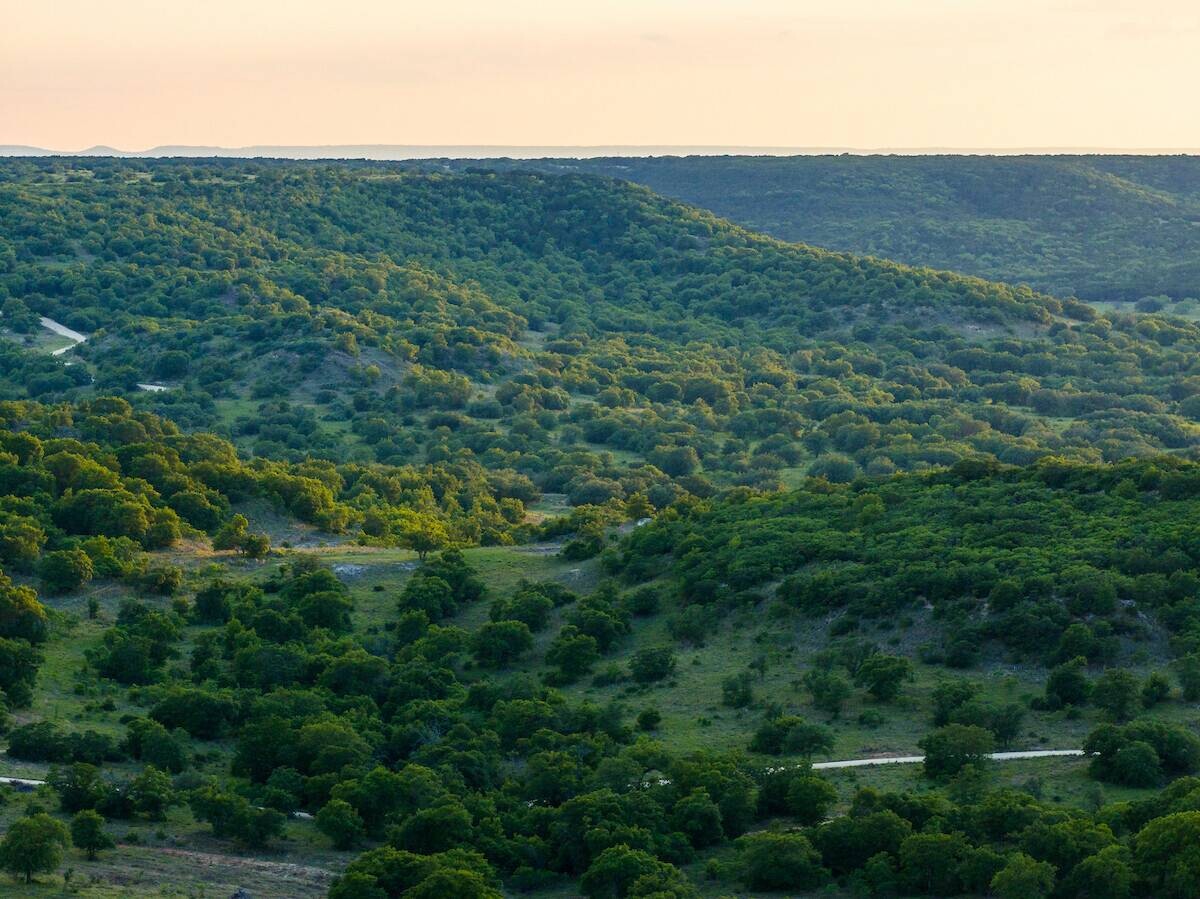 Land for Sale in Callahan County, TX (13 of 94)