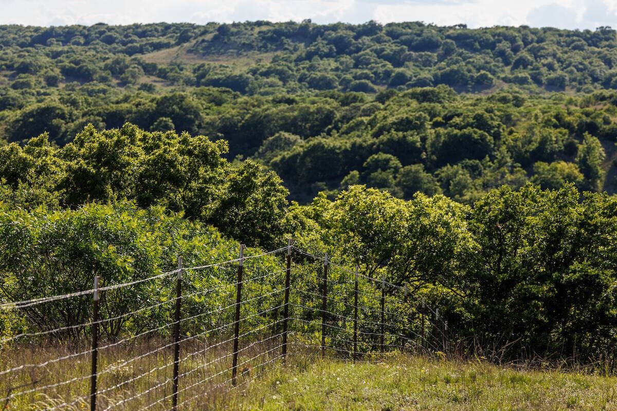 Land for Sale in Callahan County, TX (14 of 94)