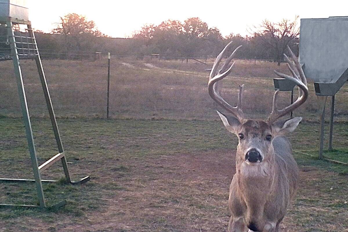 Land for Sale in Callahan County, TX (50 of 94)
