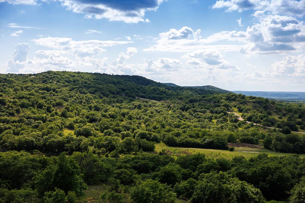 Land for Sale in Callahan County, TX (54 of 94)