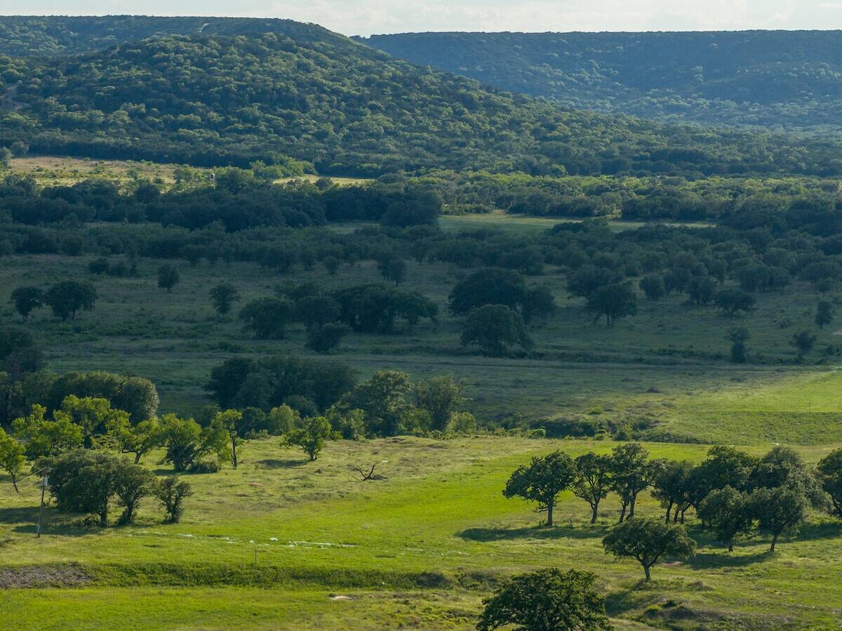 Land for Sale in Callahan County, TX (57 of 94)