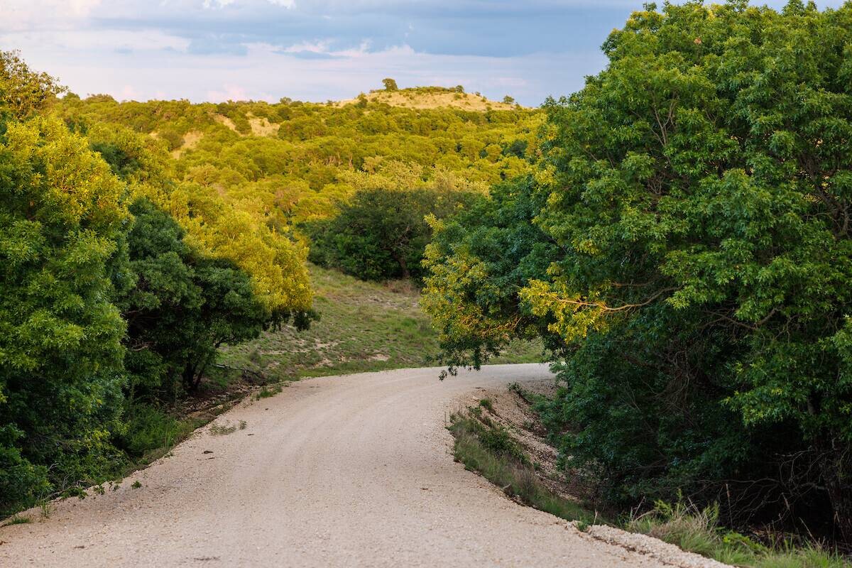Land for Sale in Callahan County, TX (61 of 94)