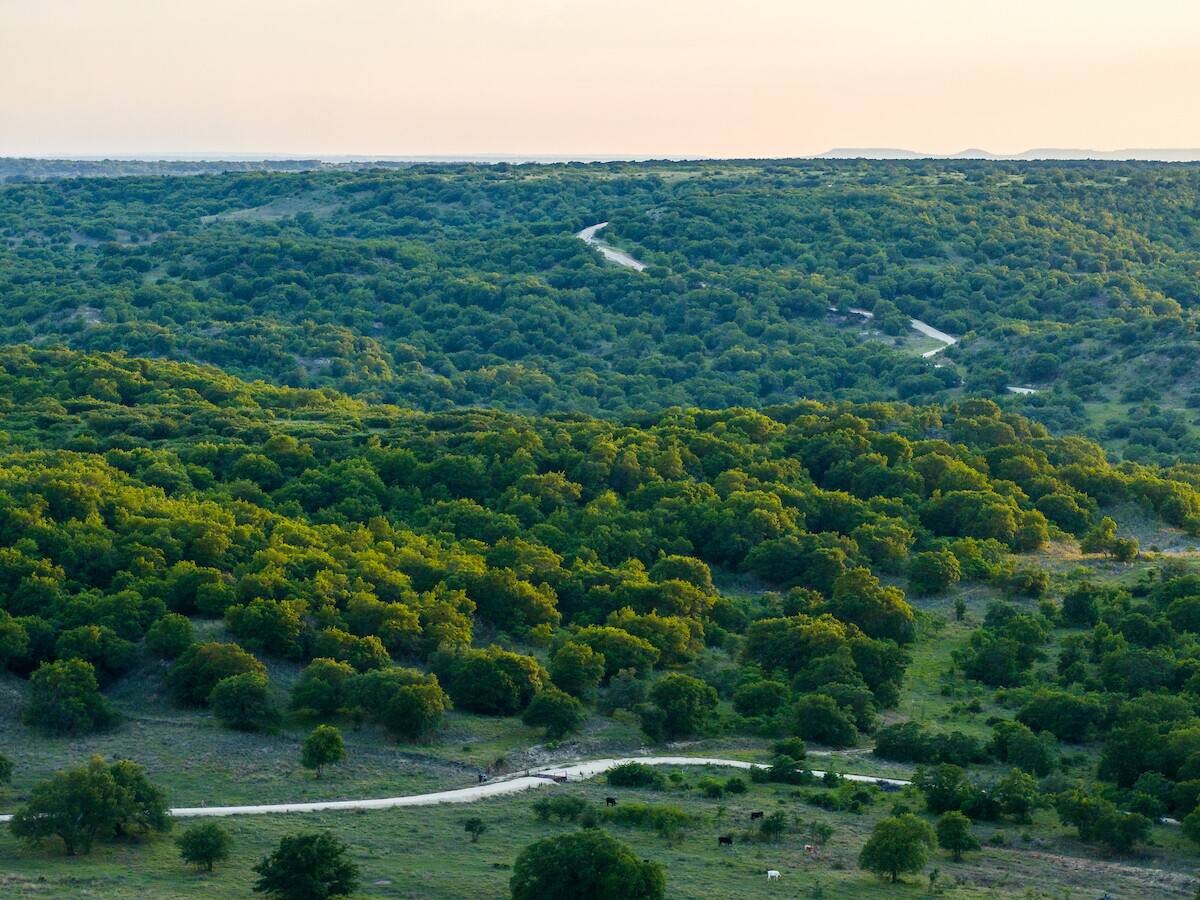 Land for Sale in Callahan County, TX (62 of 94)