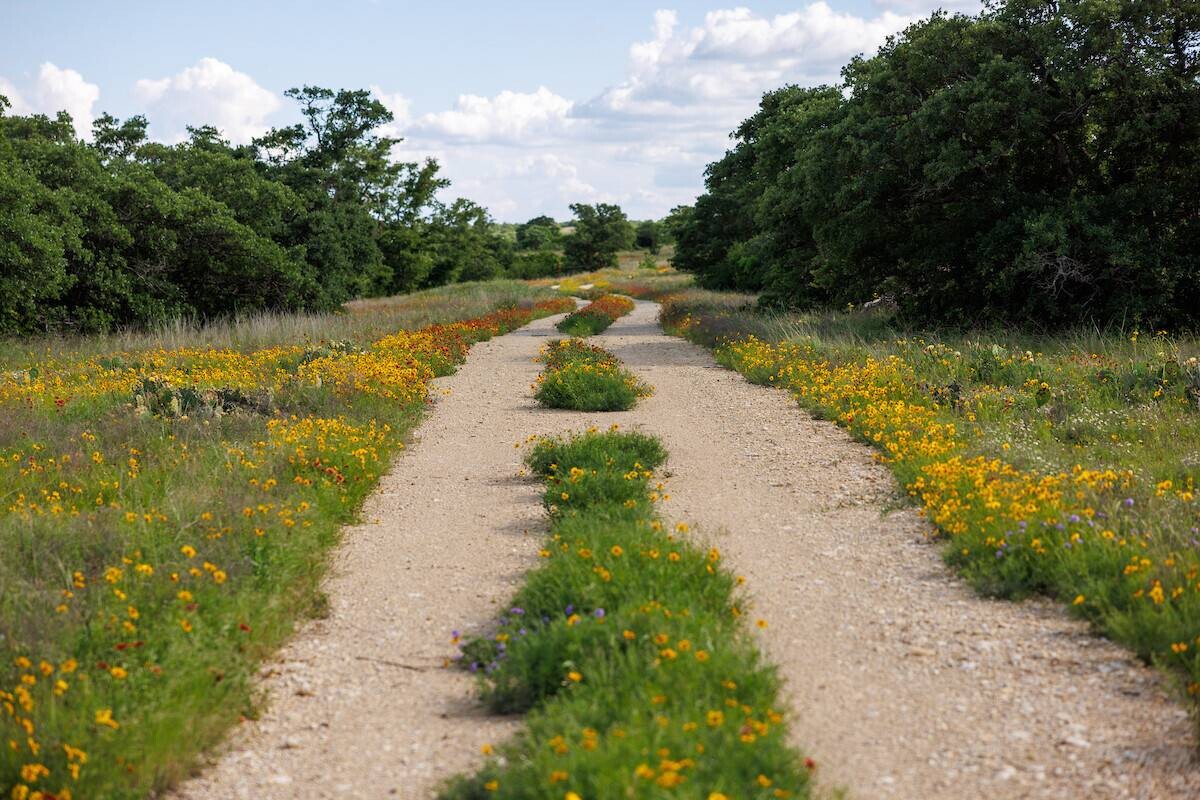 Land for Sale in Callahan County, TX (63 of 94)