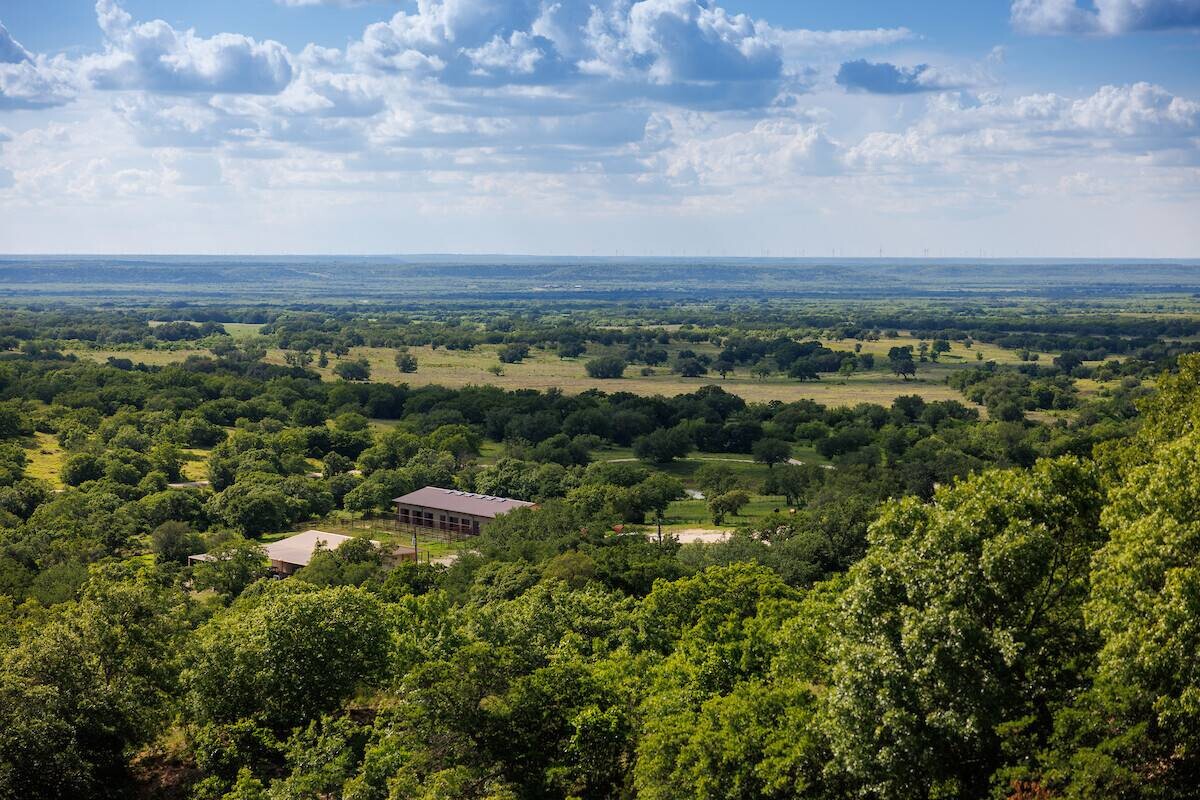 Land for Sale in Callahan County, TX (75 of 94)