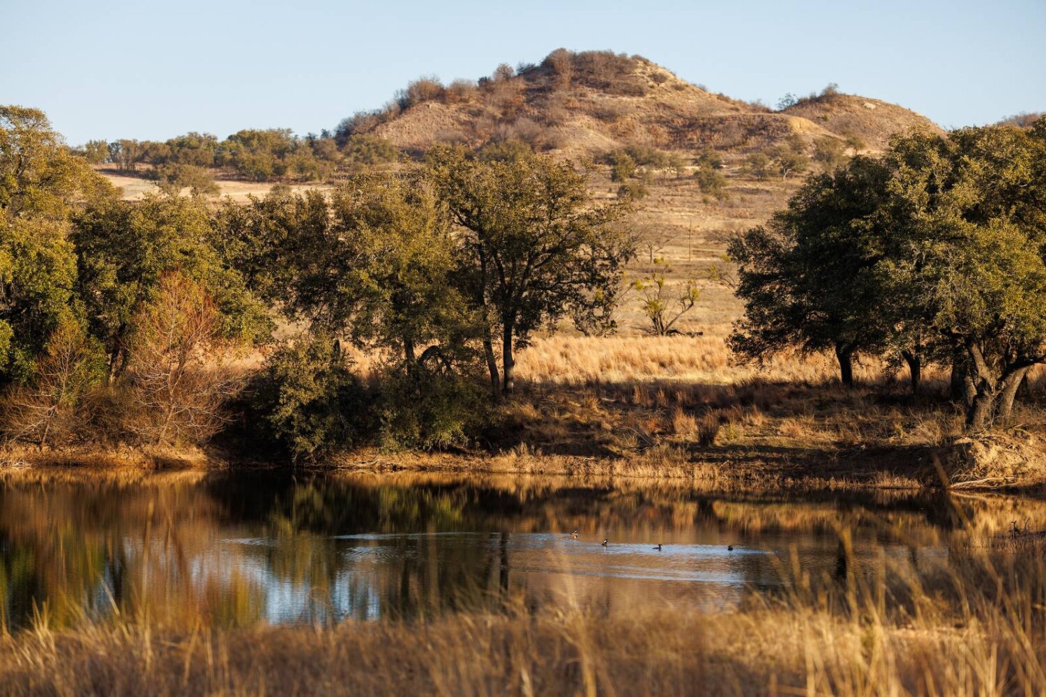 Land for Sale in Callahan County, TX (87 of 94)