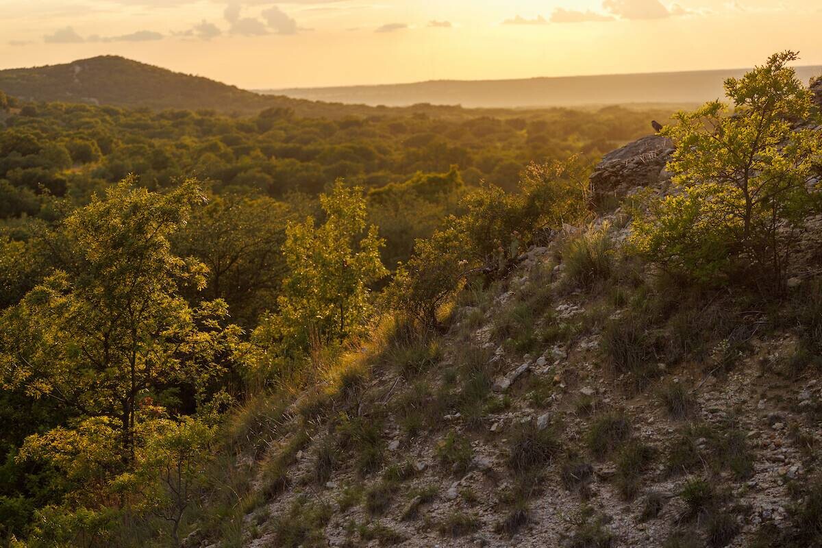 Land for Sale in Callahan County, TX (92 of 94)