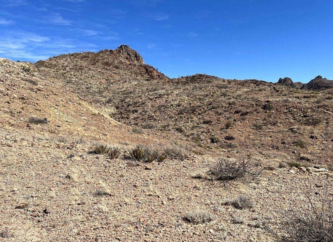 Land for Sale in Brewster County, TX (7 of 19)