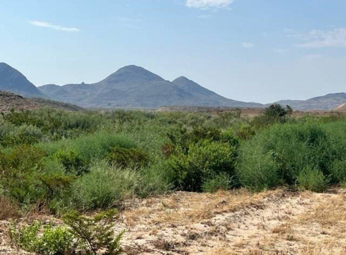 Land for Sale in Brewster County, TX (14 of 19)