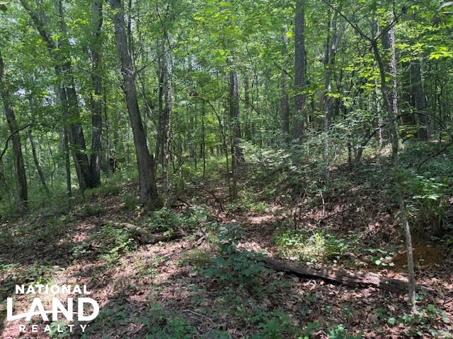 Exceptional Multi-Use Home And Recreational Property in Cherokee County, AL (1 of 9)