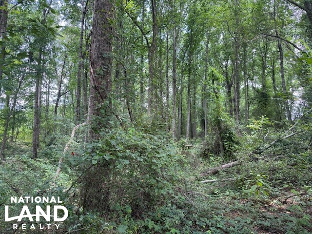 Exceptional Multi-Use Home And Recreational Property in Cherokee County, AL (3 of 9)