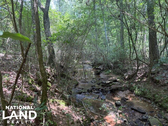 Exceptional Multi-Use Home And Recreational Property in Cherokee County, AL (4 of 9)