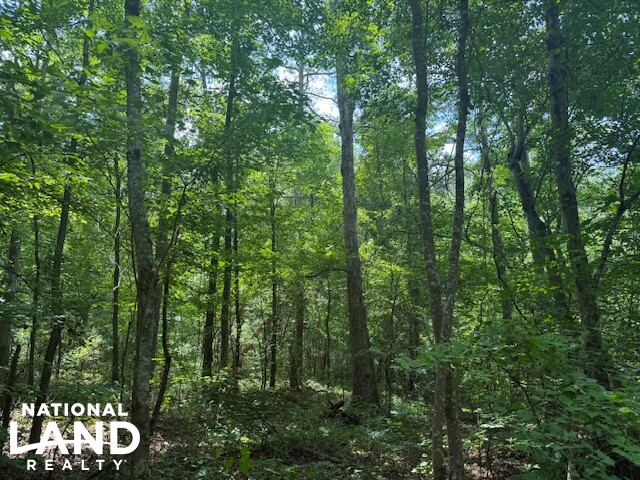 Exceptional Multi-Use Home And Recreational Property in Cherokee County, AL (6 of 9)