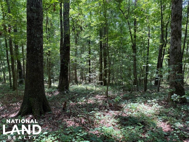 Exceptional Multi-Use Home And Recreational Property in Cherokee County, AL (7 of 9)