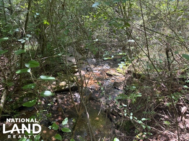 Exceptional Multi-Use Home And Recreational Property in Cherokee County, AL (8 of 9)