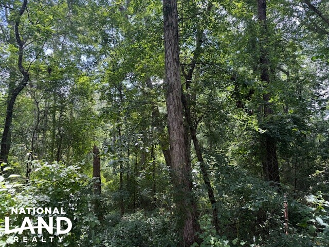 Exceptional Multi-Use Home And Recreational Property in Cherokee County, AL (9 of 9)