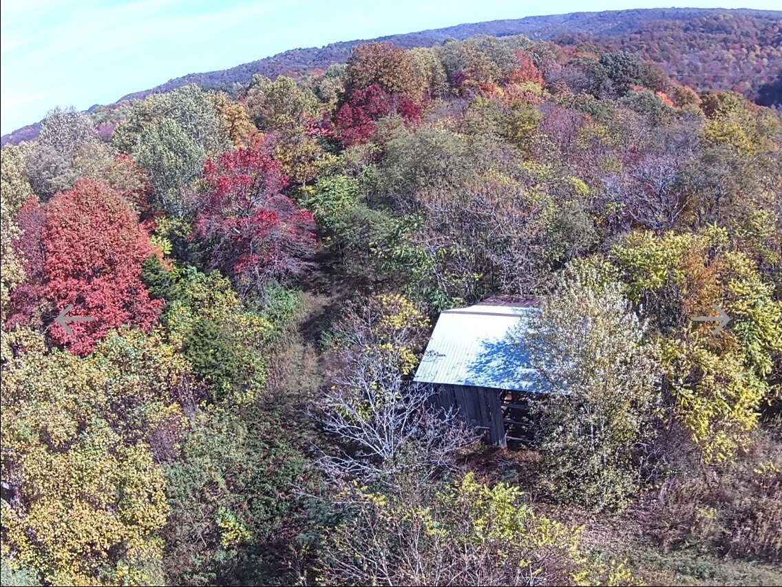 Land for Sale in Casey County, KY (1 of 7)