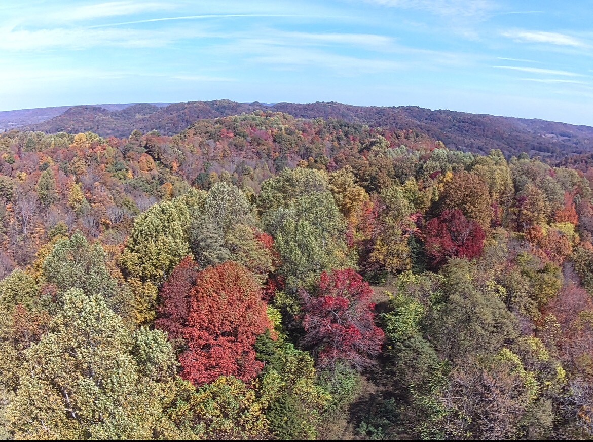 Land for Sale in Casey County, KY (2 of 7)