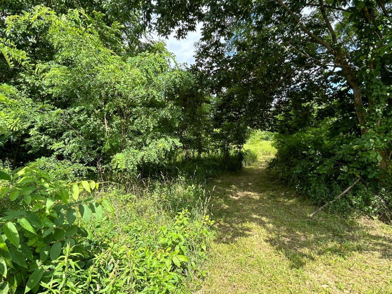 Land for Sale in Casey County, KY (5 of 7)