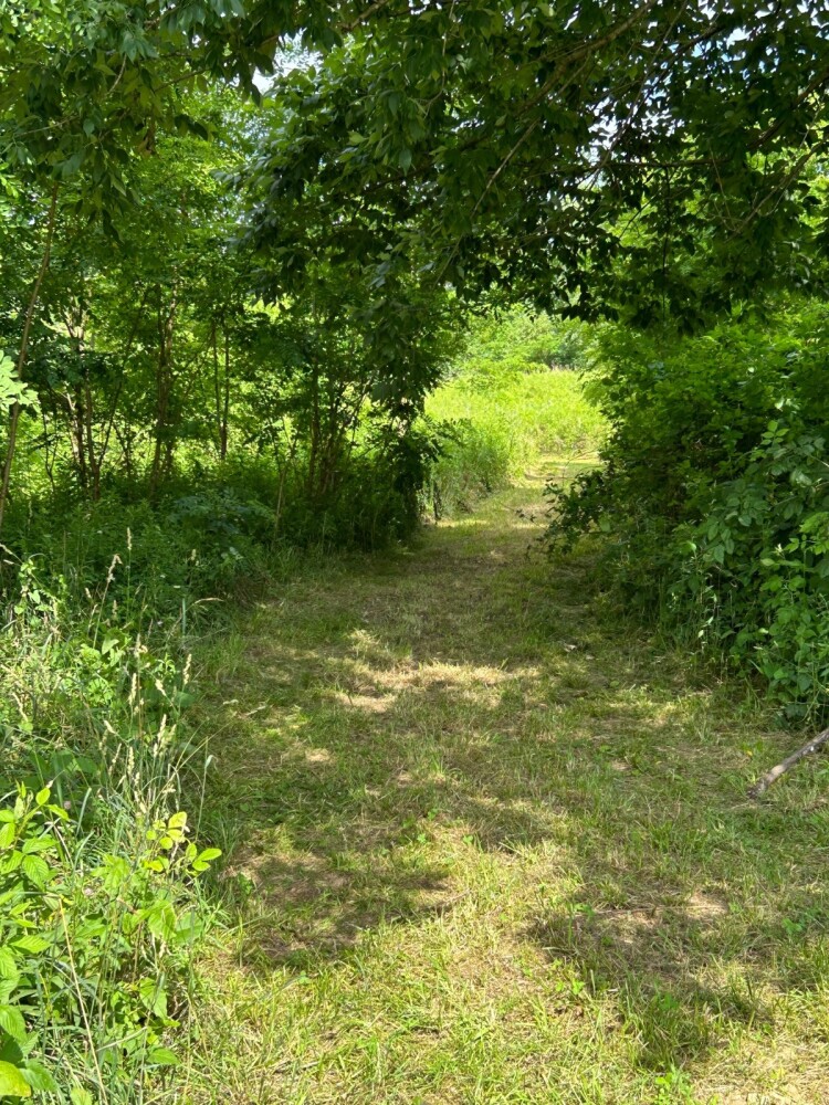 Land for Sale in Casey County, KY (6 of 7)