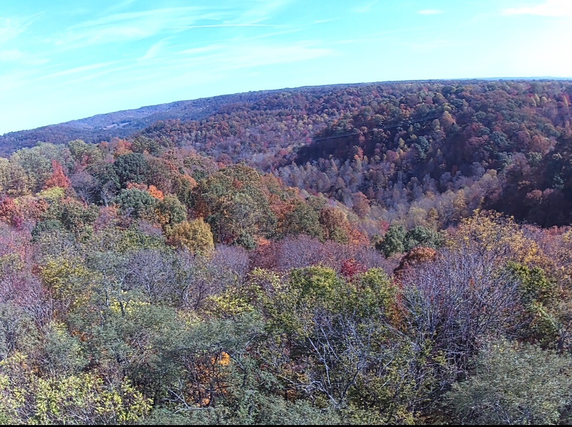 Land for Sale in Casey County, KY (7 of 7)