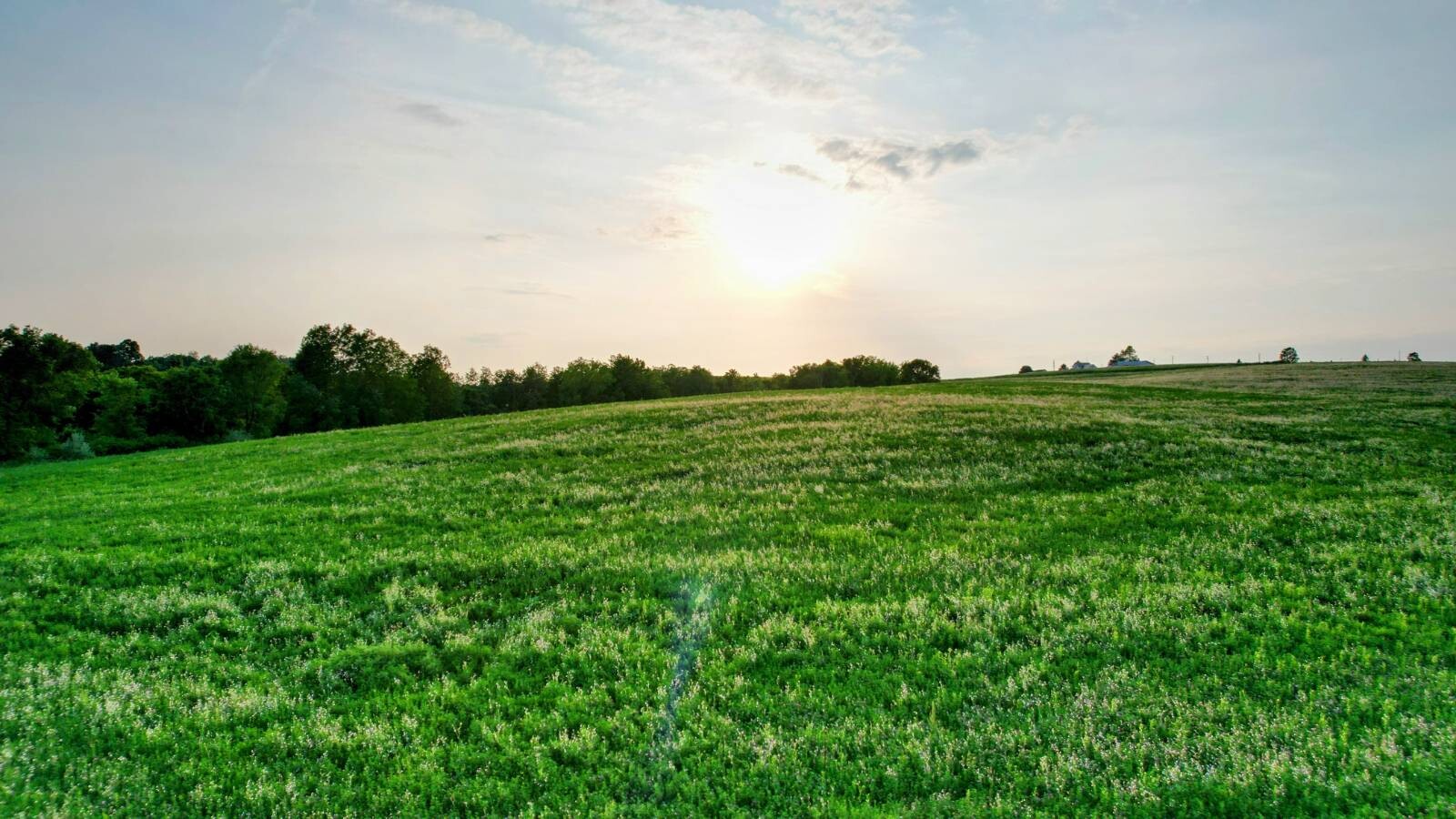 Land for Sale in Monroe County, WI (10 of 118)