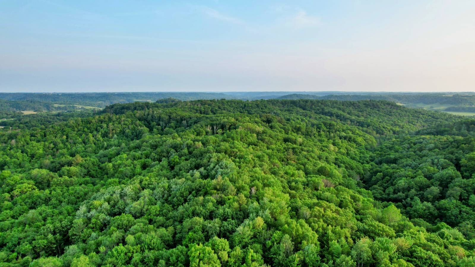 Land for Sale in Monroe County, WI (11 of 118)