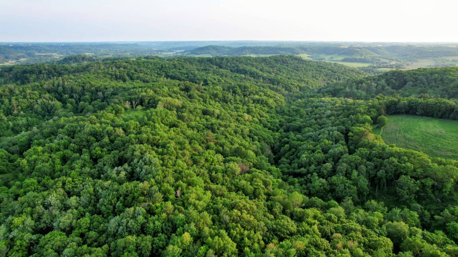 Land for Sale in Monroe County, WI (12 of 118)