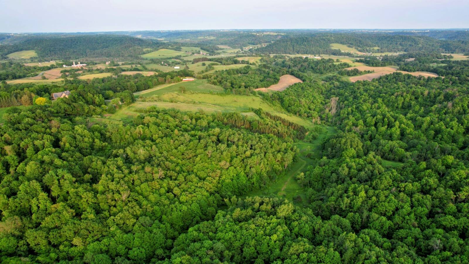 Land for Sale in Monroe County, WI (13 of 118)