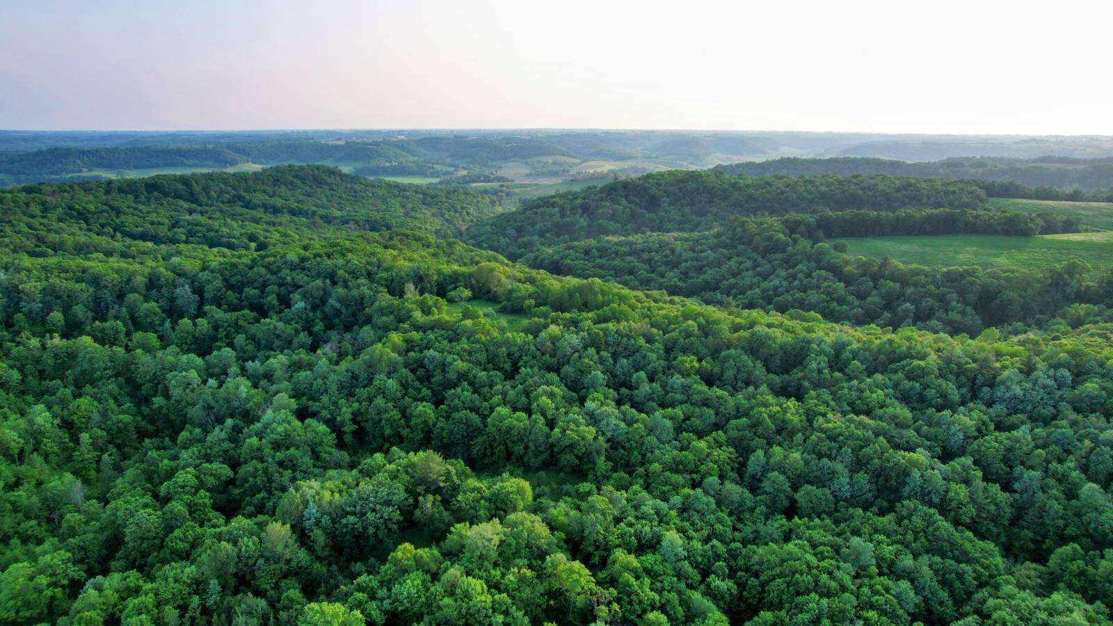Land for Sale in Monroe County, WI (14 of 118)