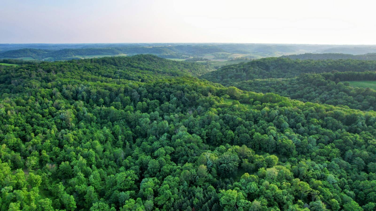 Land for Sale in Monroe County, WI (15 of 118)