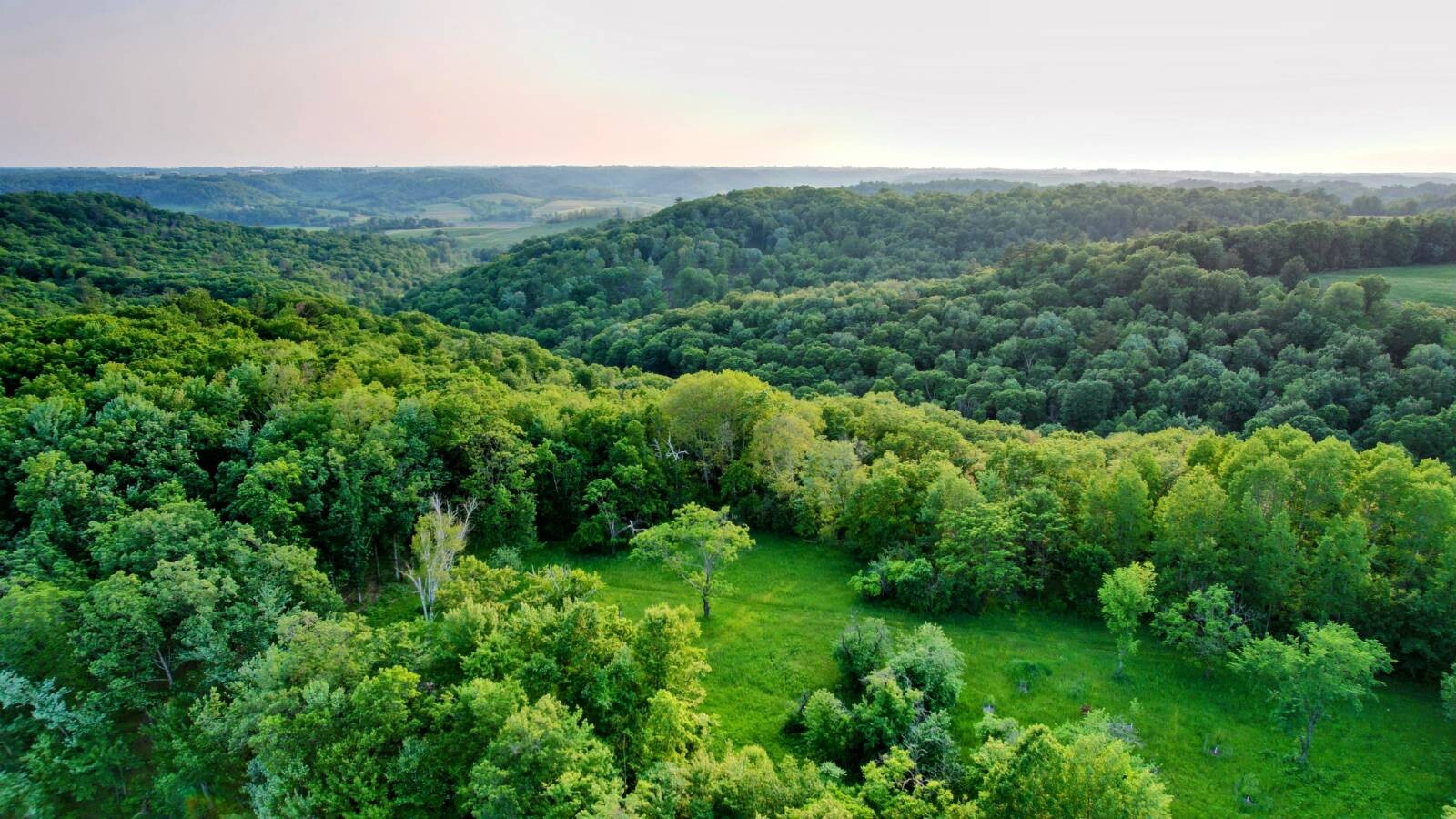 Land for Sale in Monroe County, WI (16 of 118)