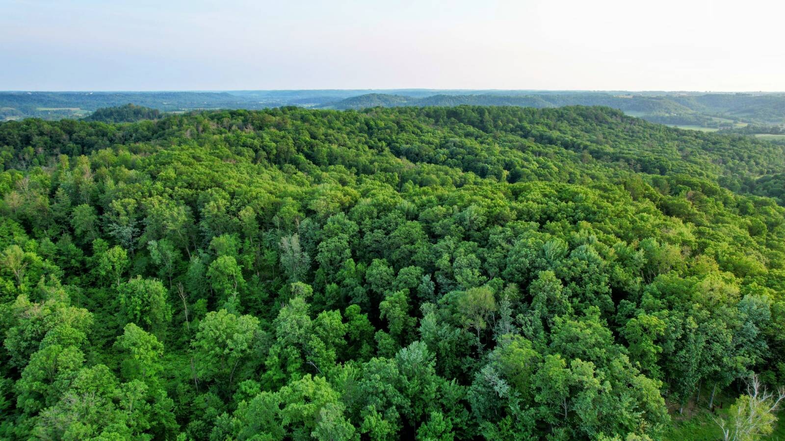 Land for Sale in Monroe County, WI (17 of 118)