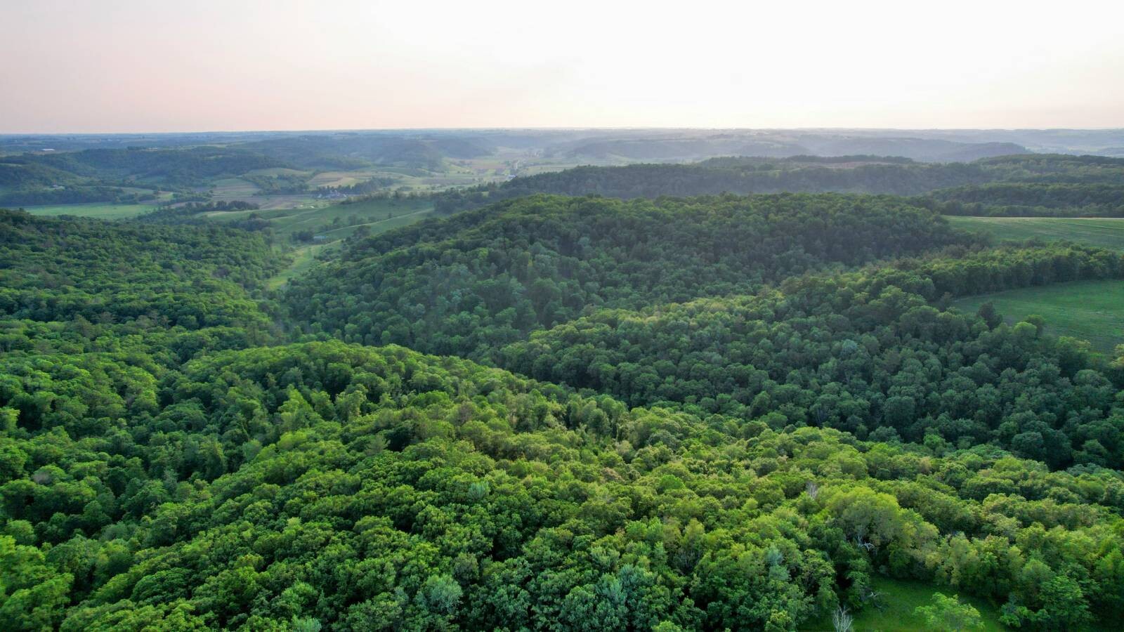Land for Sale in Monroe County, WI (18 of 118)