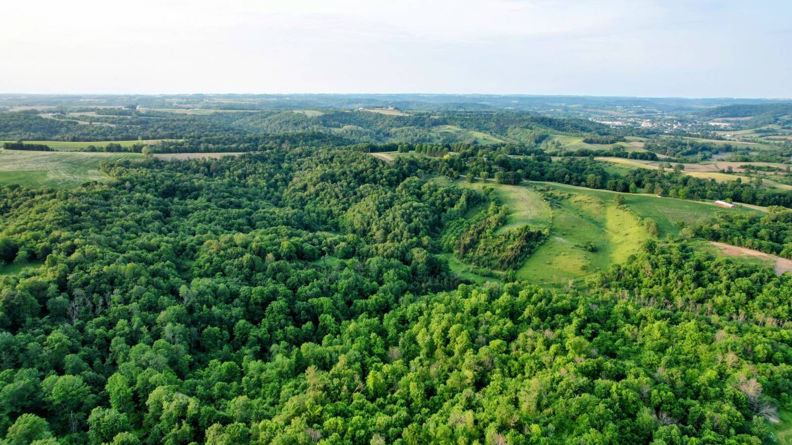 Land for Sale in Monroe County, WI (20 of 118)
