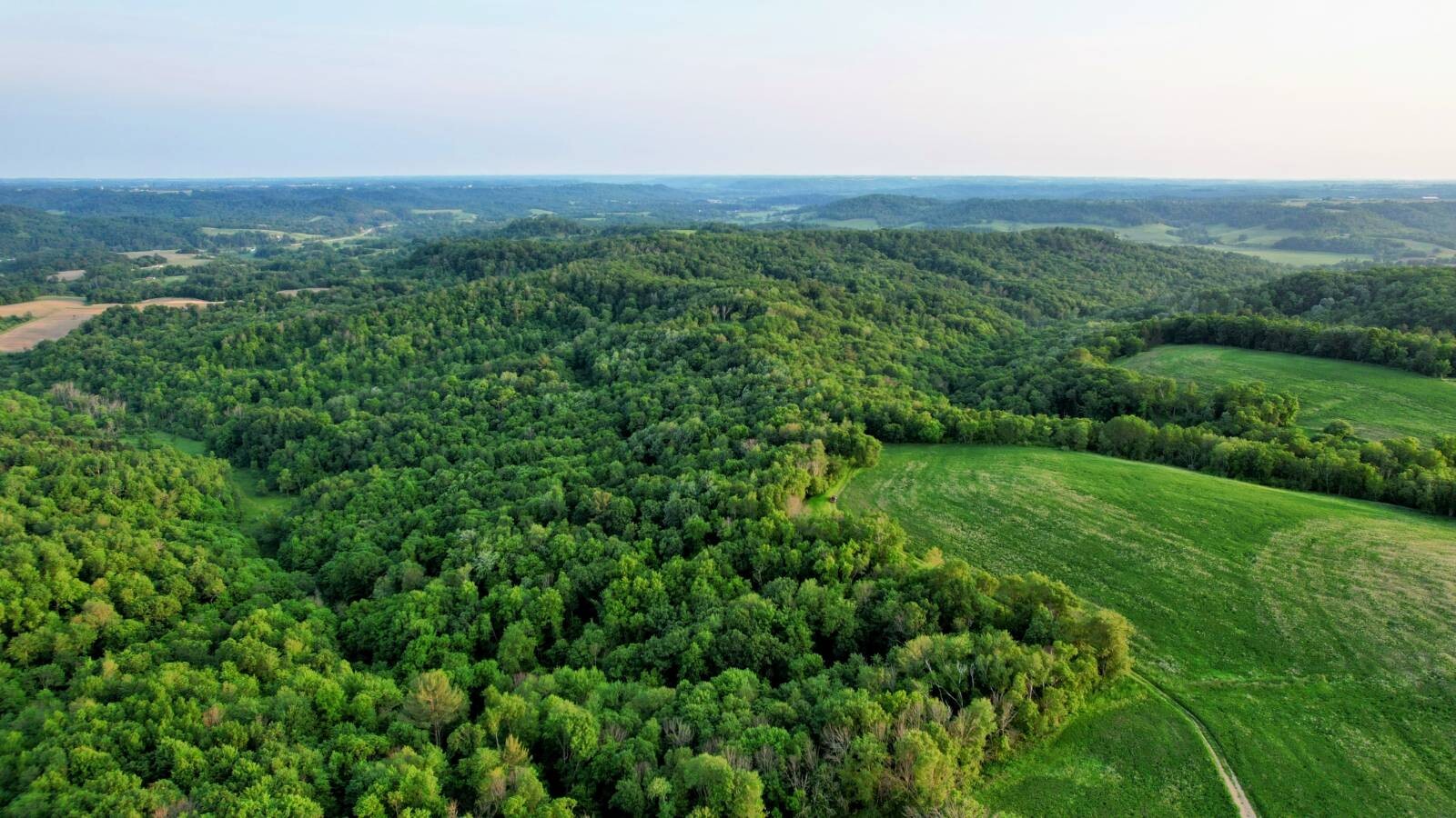 Land for Sale in Monroe County, WI (21 of 118)