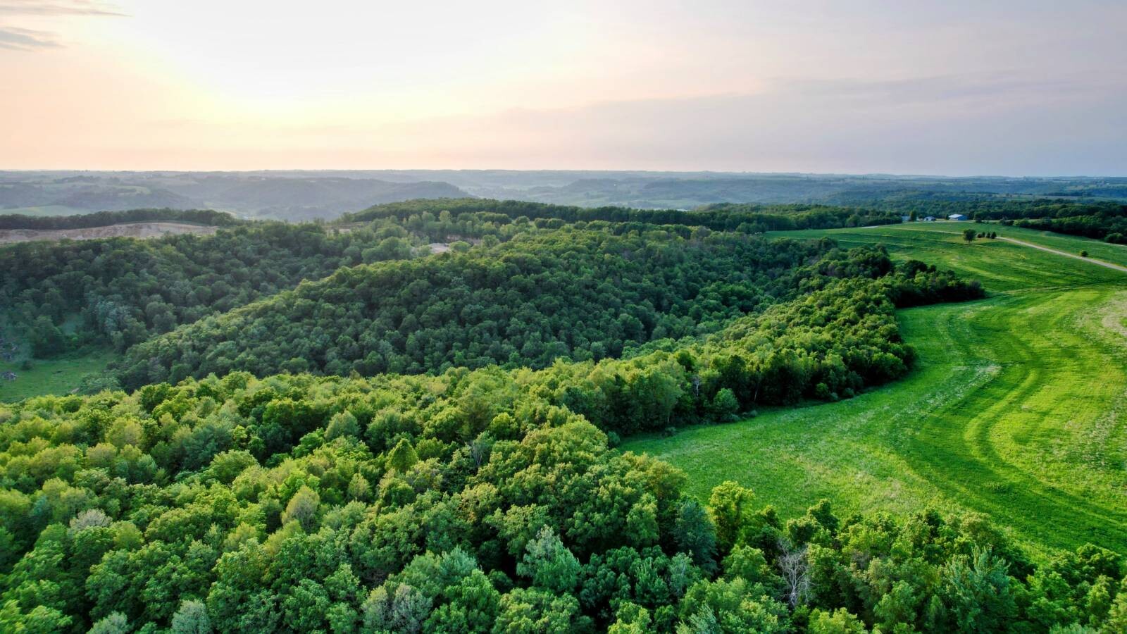 Land for Sale in Monroe County, WI (25 of 118)